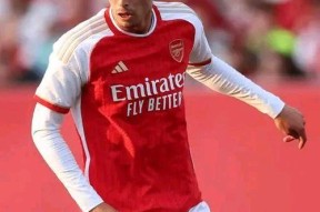 包含Ming迎来十五赛季高光表现，阿森纳球迷沸腾！的词条